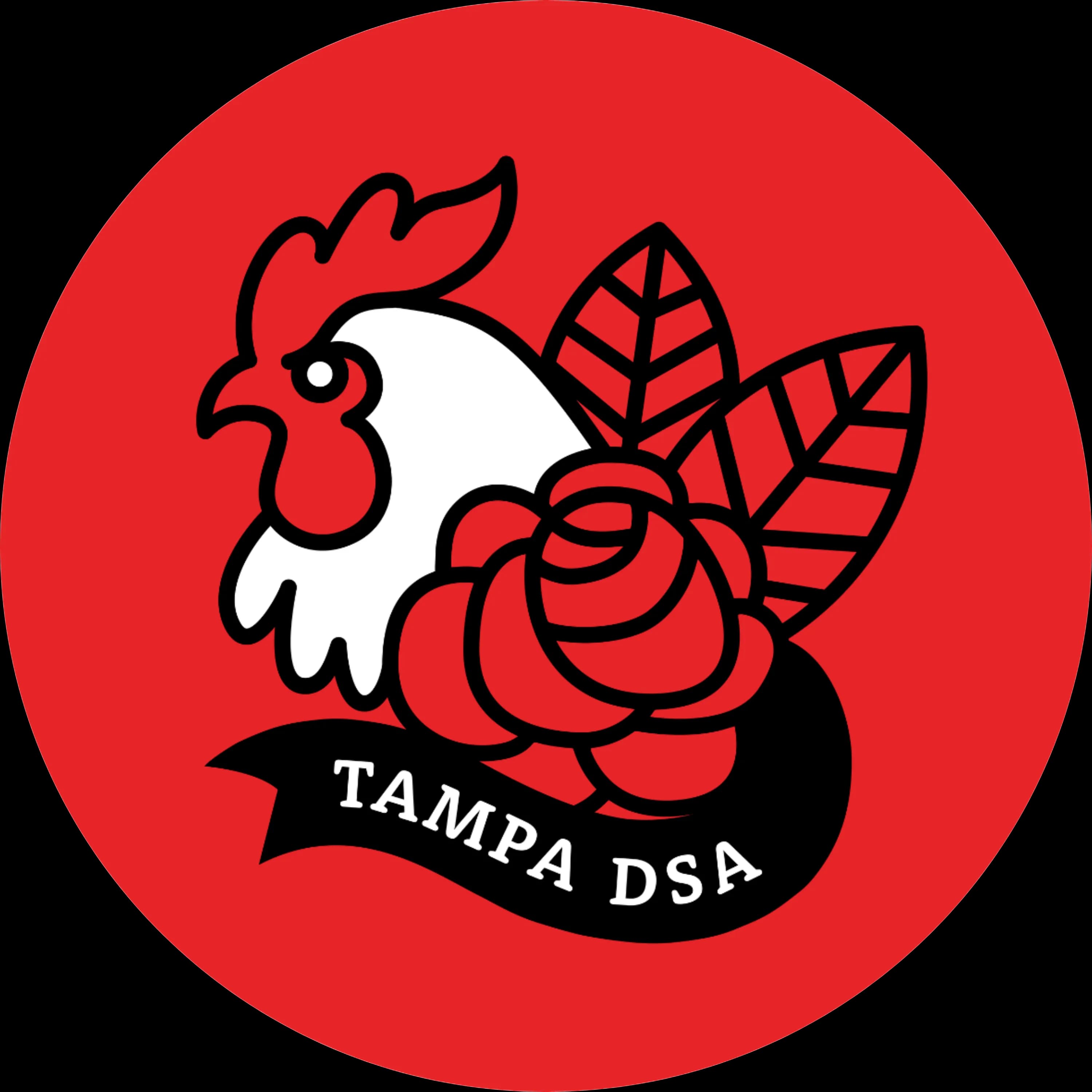 Tampa DSA